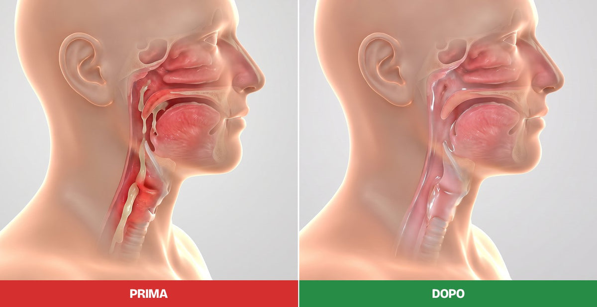 La stessa gola vista di lato, come immagine anatomica 3D: a sinistra rossa e piena di muco (PRIMA), a destra calma e libera (DOPO)