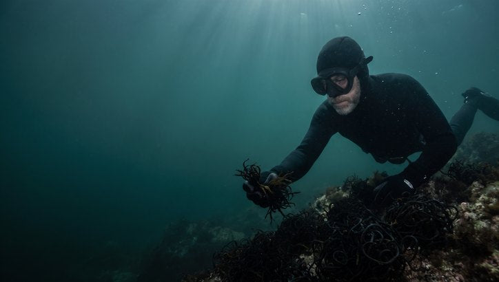 «Il muschio su cui giurano i sub irlandesi» – nell'acqua scura lo stesso sub dell'immagine in alto raccoglie muschio sul fondo
