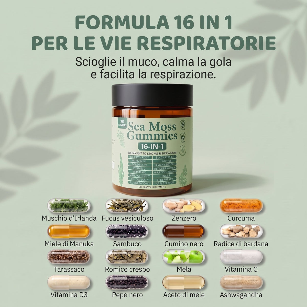 Formula 16 in 1 con tutti gli ingredienti