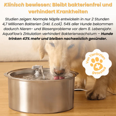 Mer Hundebrunnen
