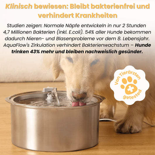 Mer Hundebrunnen