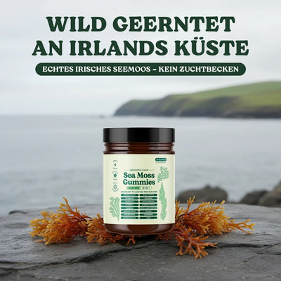 Wild geerntet an Irlands Küste