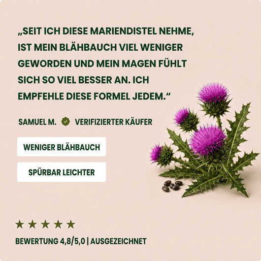g06-stimme.jpg