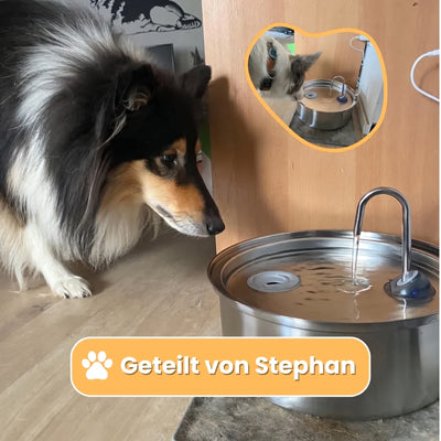 Mer Hundebrunnen