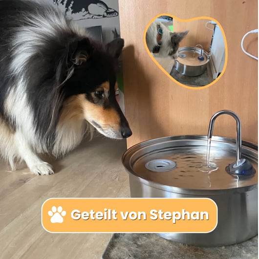 Mer Hundebrunnen