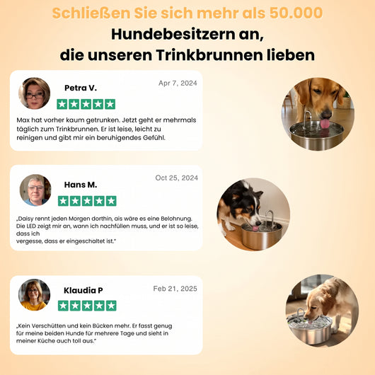 Mer Hundebrunnen