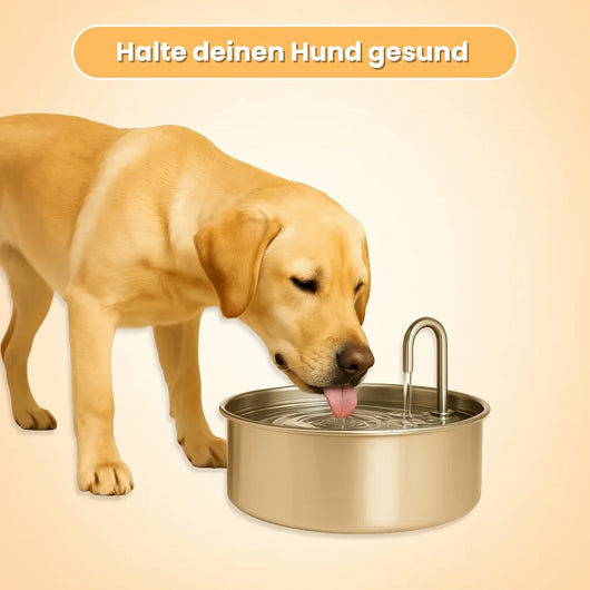 Mer Hundebrunnen