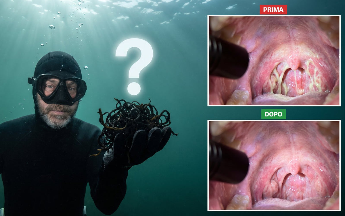 Un sub irlandese sott'acqua, in muta nera, tiene del muschio scuro nella mano aperta, sotto un grande punto interrogativo. A destra la stessa gola PRIMA (rossa, piena di muco) e DOPO (pulita e calma)