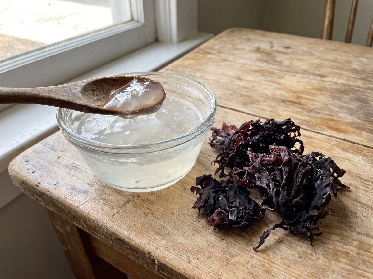 «Carragheen: il gel del muschio d'Irlanda» – una ciotola di vetro con gel trasparente di muschio, un cucchiaio di legno, accanto muschio d'Irlanda scuro ed essiccato sul legno
